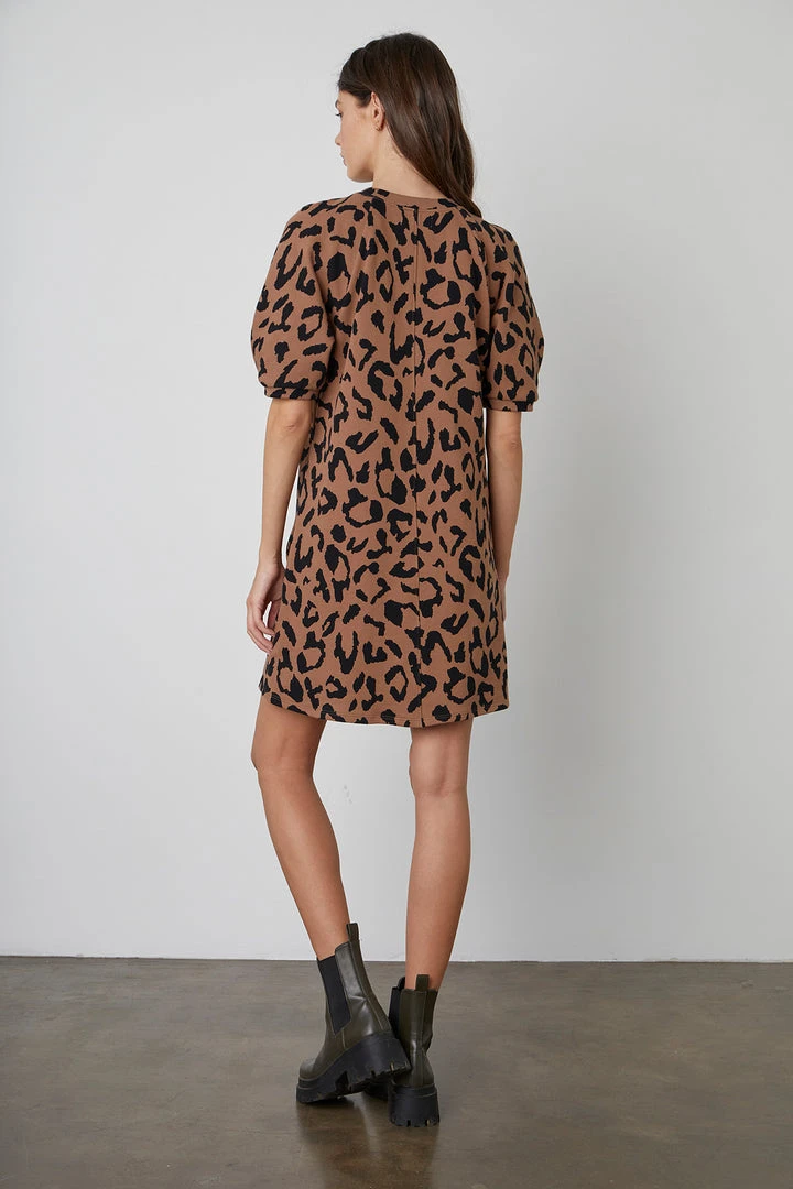 Velvet By Graham & Spencer RENEE PRINTED DRESS 6 Velvet By Graham & Spencer RENEE PRINTED DRESS
