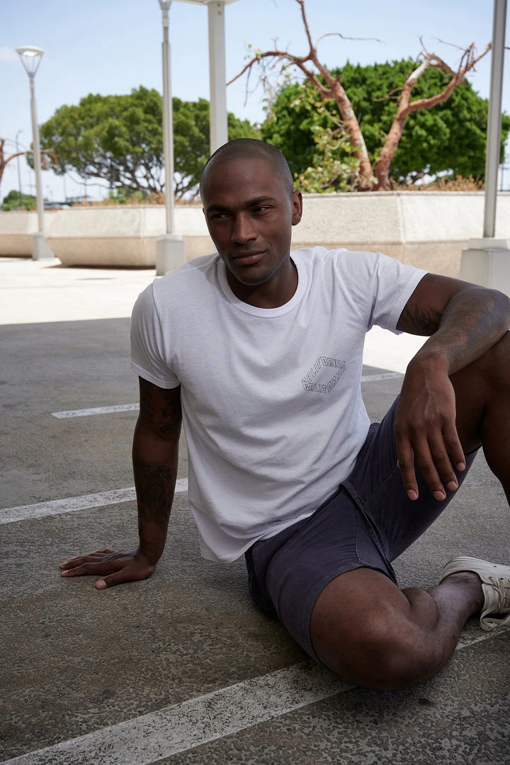 Velvet By Graham & Spencer MAXWELL LINEN SHORT Mens 8 Velvet By Graham & Spencer MAXWELL LINEN SHORT Mens