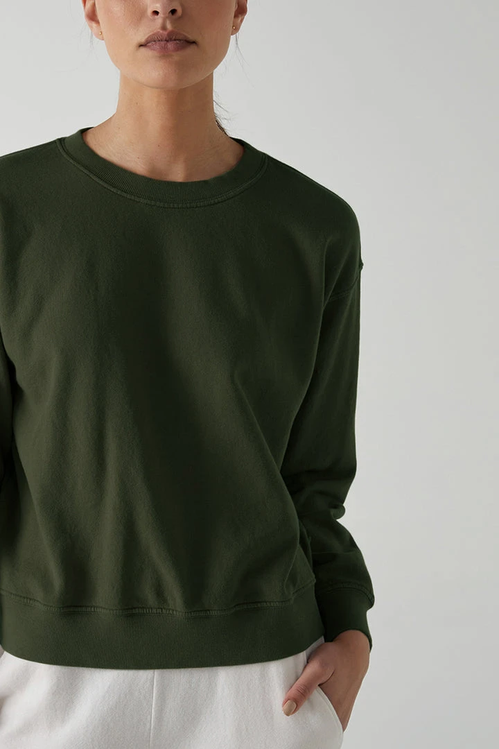 Velvet By Jenny Graham YNEZ SWEATSHIRT Womens 6 Velvet By Jenny Graham YNEZ SWEATSHIRT Womens