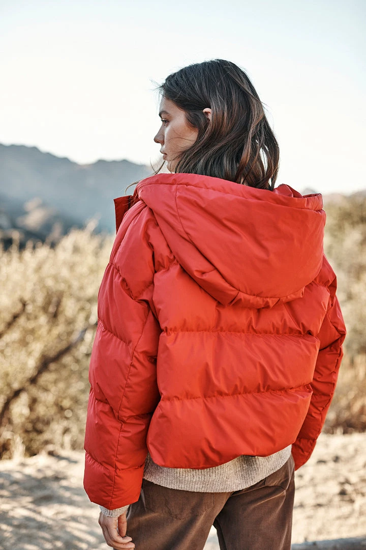 Velvet By Graham & Spencer RAYLIN CROPPED PUFFER JACKET Womens 5 Velvet By Graham & Spencer RAYLIN CROPPED PUFFER JACKET Womens