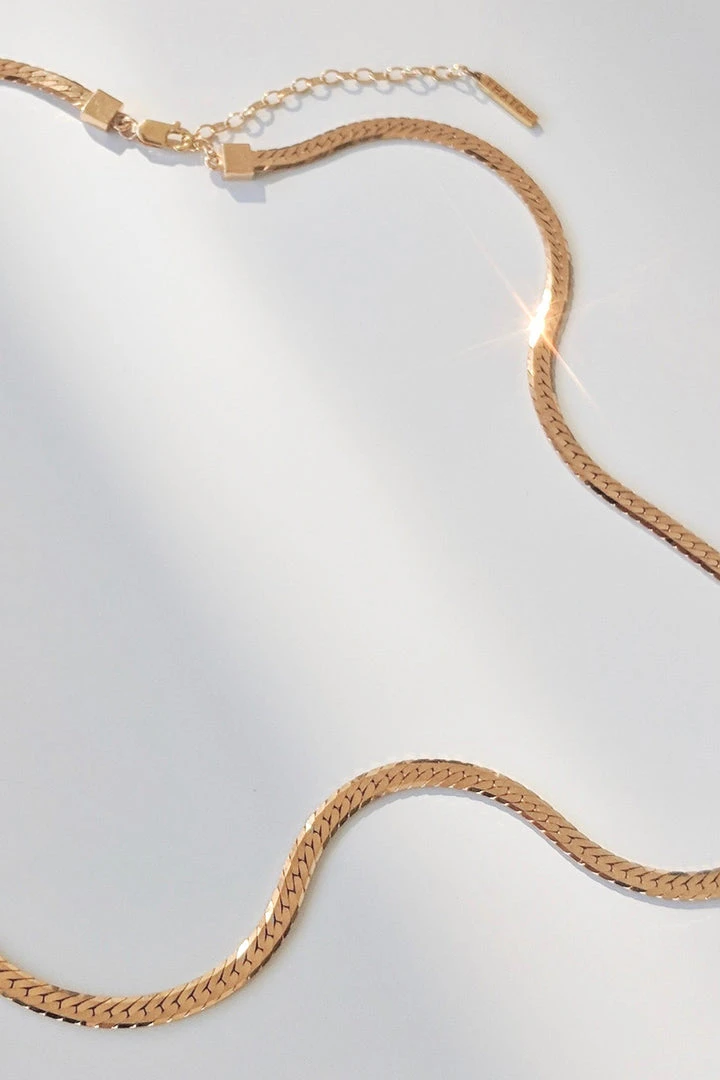 DANI GOLD HERRINGBONE CHAIN BY THATCH Womens 4 DANI GOLD HERRINGBONE CHAIN BY THATCH Womens